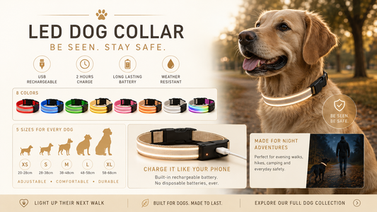 LED dog collar feature overview — USB rechargeable, 8 colors, 5 sizes, weather resistant, made for night walks