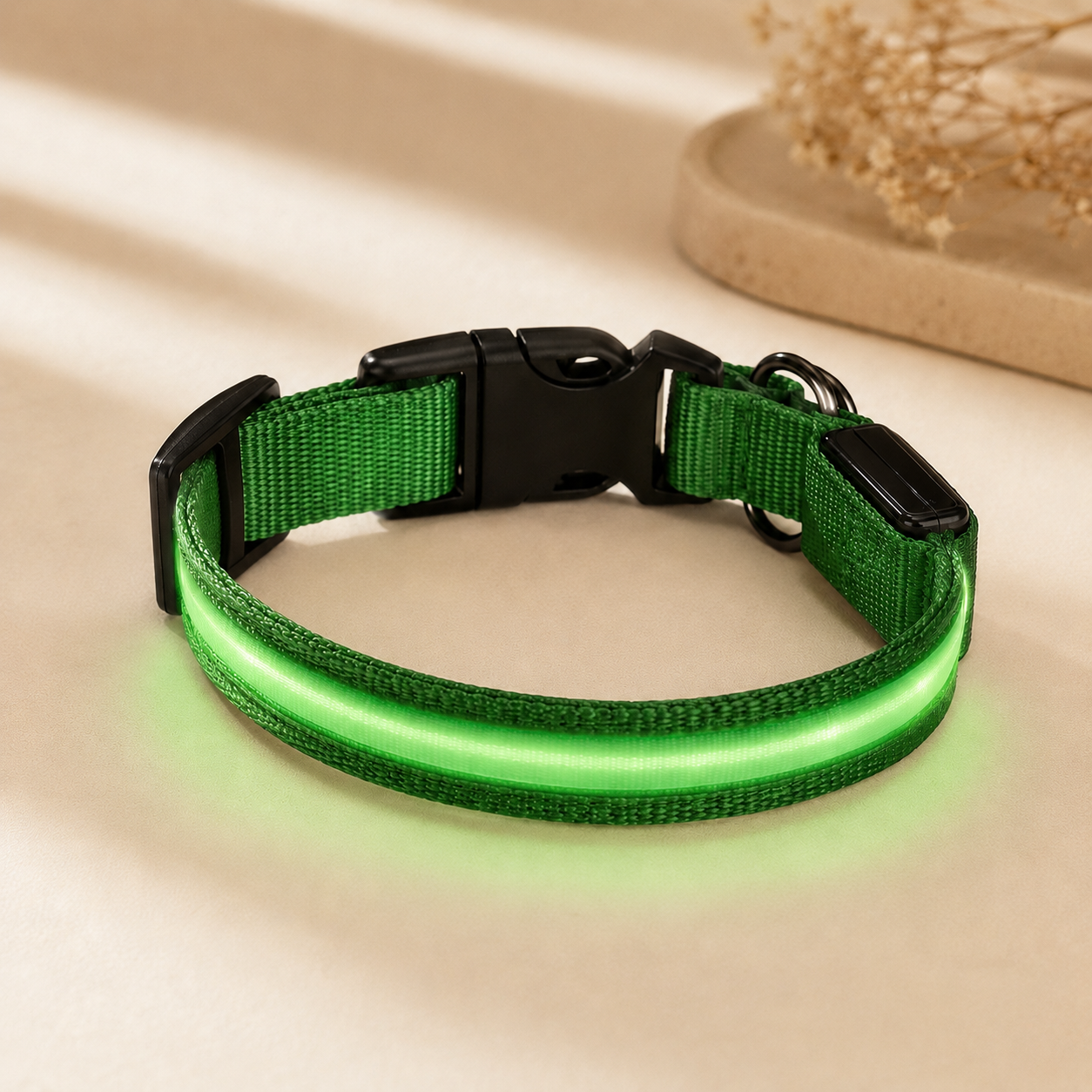 Green USB rechargeable LED dog collar glowing on a soft neutral background