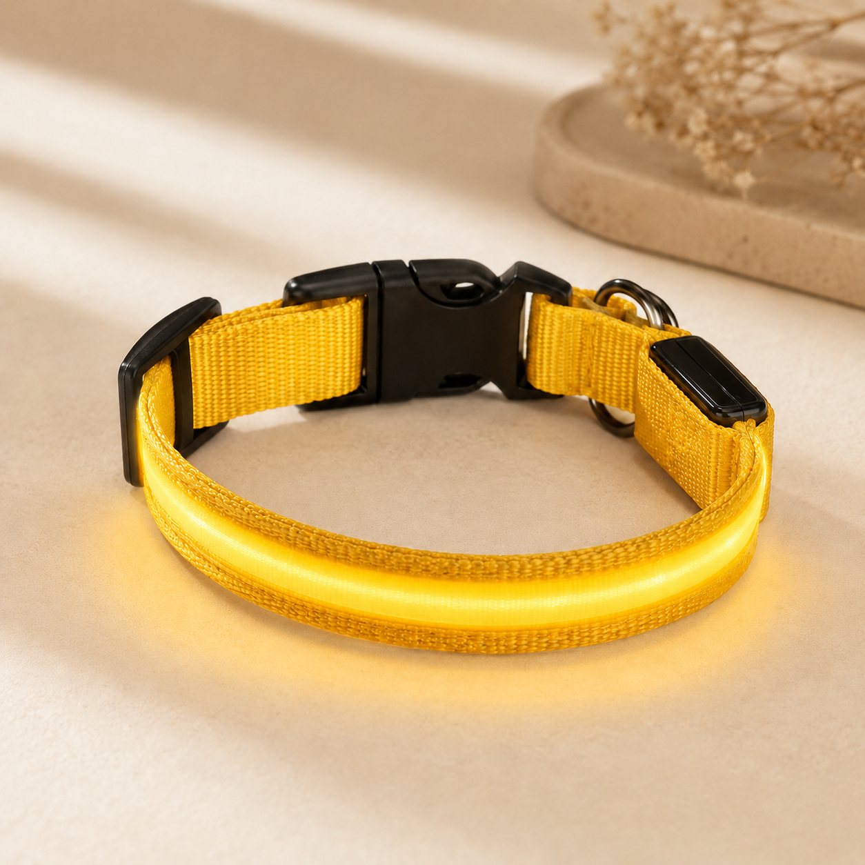 Yellow USB rechargeable LED dog collar glowing on a soft neutral background