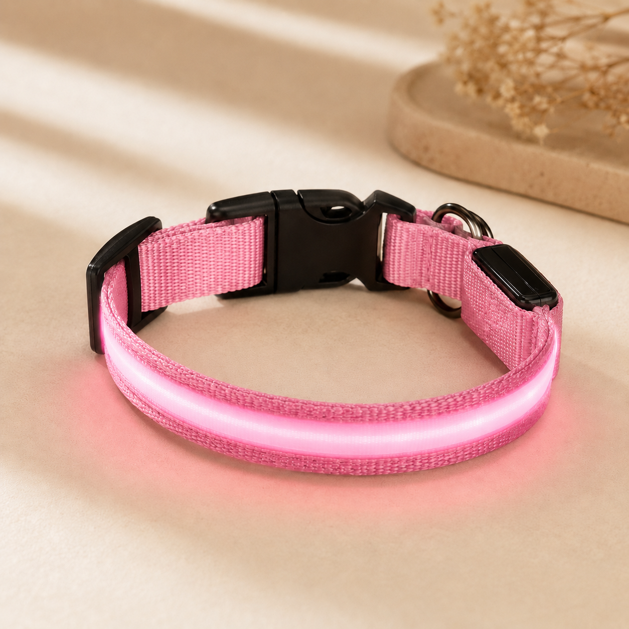 Pink USB rechargeable LED dog collar glowing on a soft neutral background