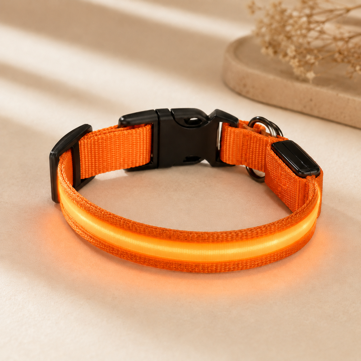 Orange USB rechargeable LED dog collar glowing on a soft neutral background