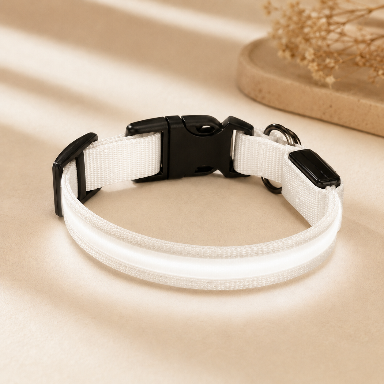 White USB rechargeable LED dog collar glowing on a soft neutral background