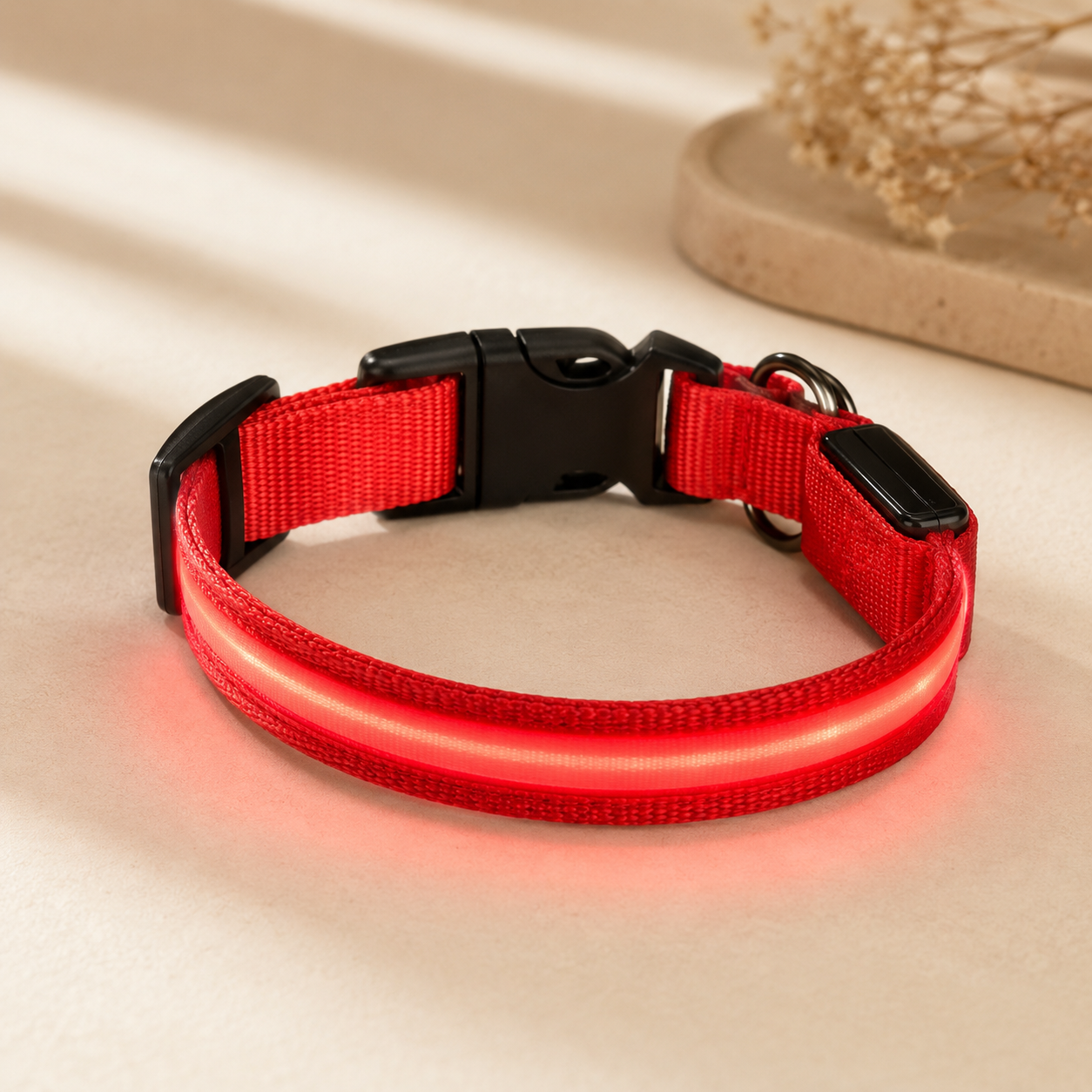 Red USB rechargeable LED dog collar glowing on a soft neutral background