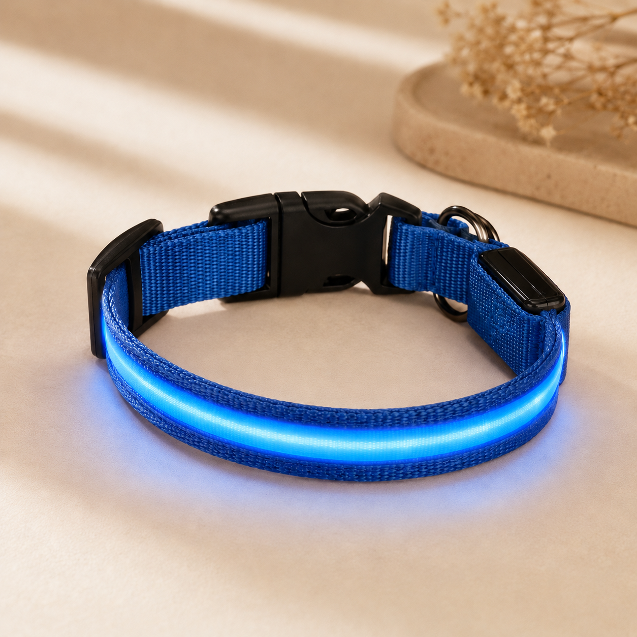 Blue USB rechargeable LED dog collar glowing on a soft neutral background